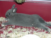 /album/fenykepgaleria/dscn2587-1-jpg/