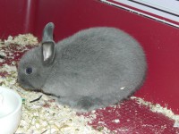 /album/fenykepgaleria/dscn2589-1-jpg/