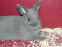 /album/fenykepgaleria/dscn2592-1-jpg/