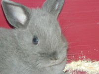 /album/fenykepgaleria/dscn2593-1-jpg/