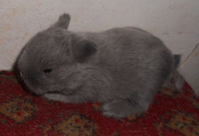 Itt szerettünk bele