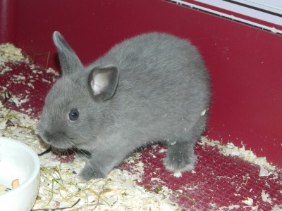 Na nézzük mi a vacsi?